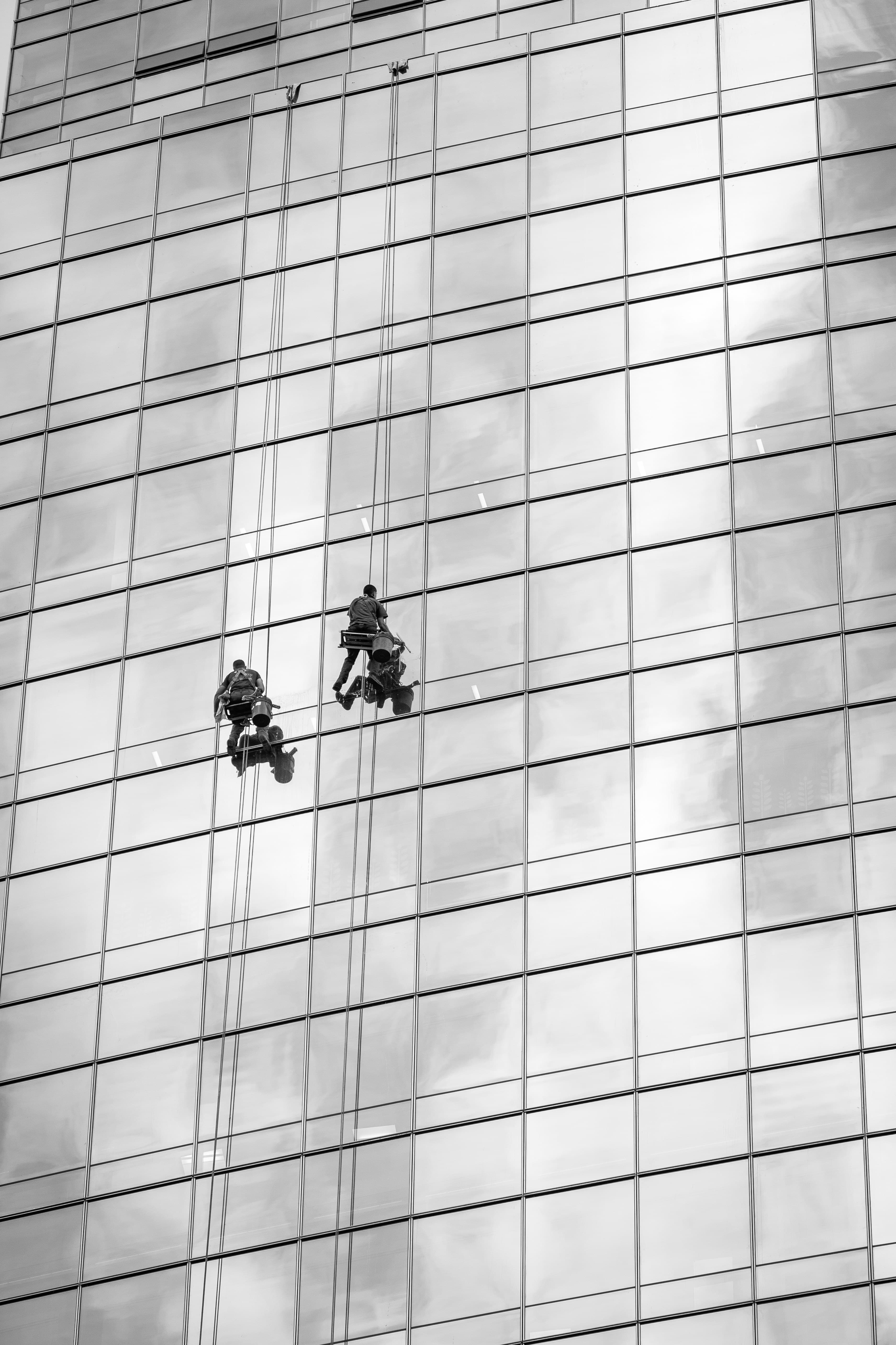 Window cleaning professionals at work